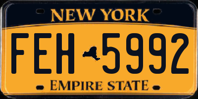 NY license plate FEH5992