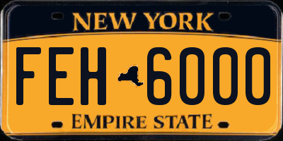 NY license plate FEH6000