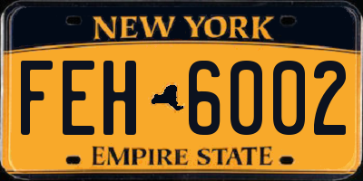 NY license plate FEH6002