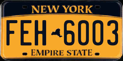NY license plate FEH6003