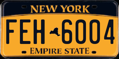 NY license plate FEH6004