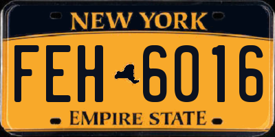 NY license plate FEH6016