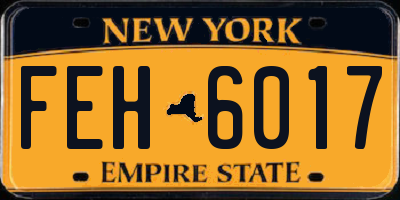 NY license plate FEH6017