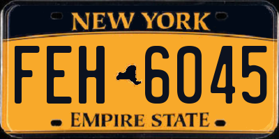 NY license plate FEH6045