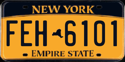 NY license plate FEH6101