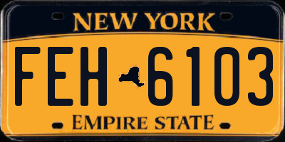 NY license plate FEH6103
