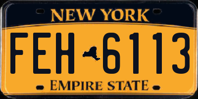 NY license plate FEH6113