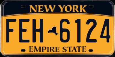 NY license plate FEH6124