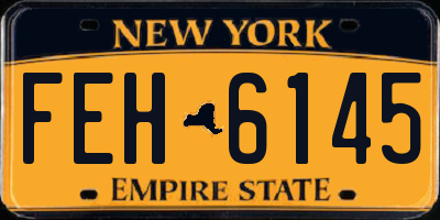 NY license plate FEH6145