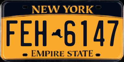 NY license plate FEH6147