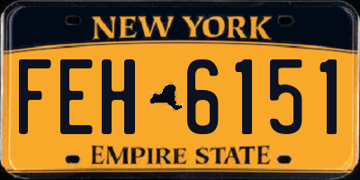 NY license plate FEH6151