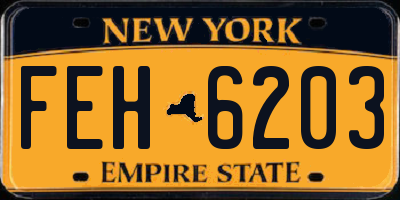 NY license plate FEH6203
