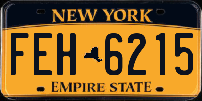 NY license plate FEH6215