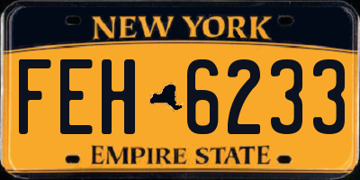 NY license plate FEH6233