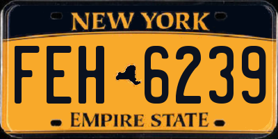 NY license plate FEH6239