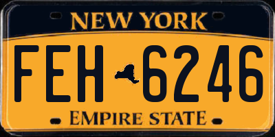 NY license plate FEH6246
