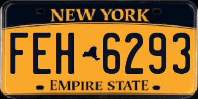 NY license plate FEH6293