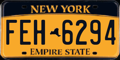 NY license plate FEH6294