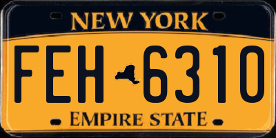 NY license plate FEH6310