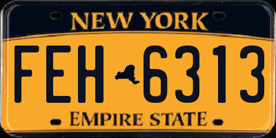 NY license plate FEH6313