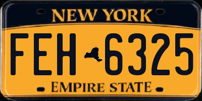 NY license plate FEH6325
