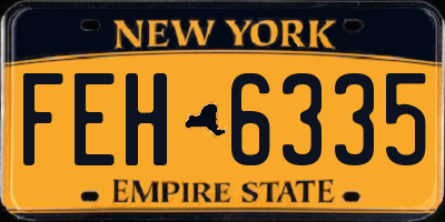 NY license plate FEH6335
