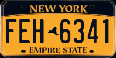 NY license plate FEH6341