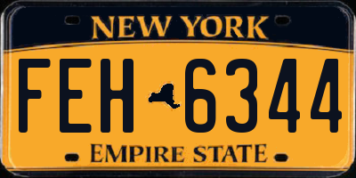 NY license plate FEH6344