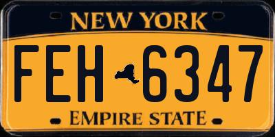 NY license plate FEH6347