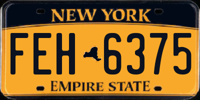 NY license plate FEH6375