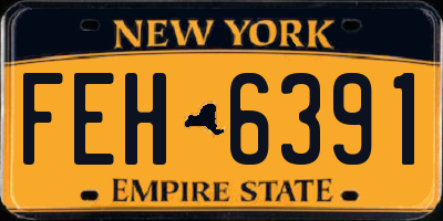 NY license plate FEH6391