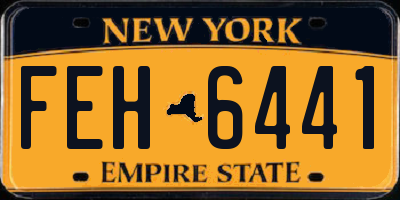 NY license plate FEH6441