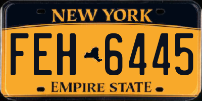 NY license plate FEH6445
