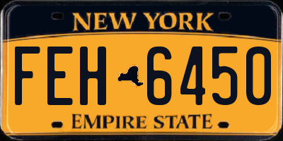 NY license plate FEH6450