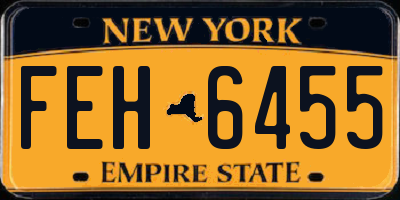 NY license plate FEH6455