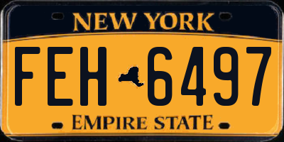 NY license plate FEH6497