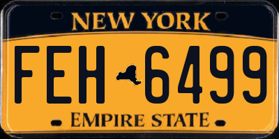 NY license plate FEH6499