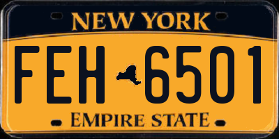 NY license plate FEH6501