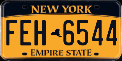 NY license plate FEH6544