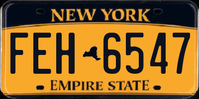 NY license plate FEH6547