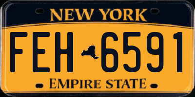NY license plate FEH6591