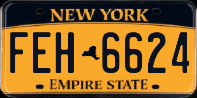 NY license plate FEH6624