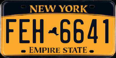 NY license plate FEH6641