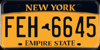 NY license plate FEH6645