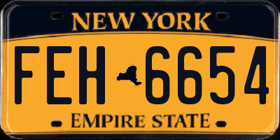 NY license plate FEH6654