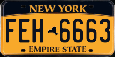 NY license plate FEH6663
