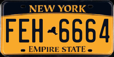 NY license plate FEH6664