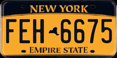 NY license plate FEH6675