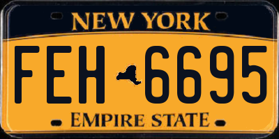 NY license plate FEH6695