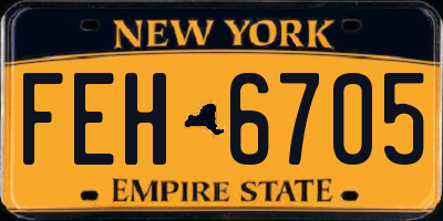 NY license plate FEH6705